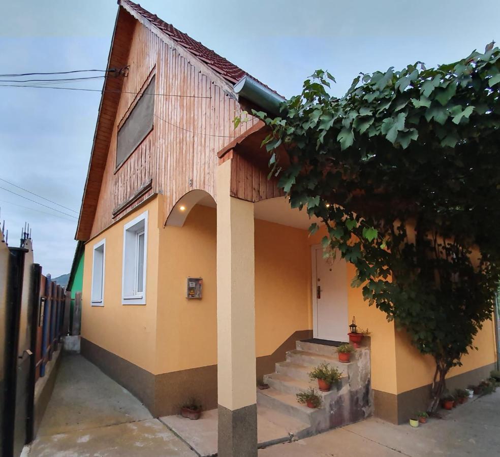 Willa Casa Maria Malancrav Zewnętrze zdjęcie